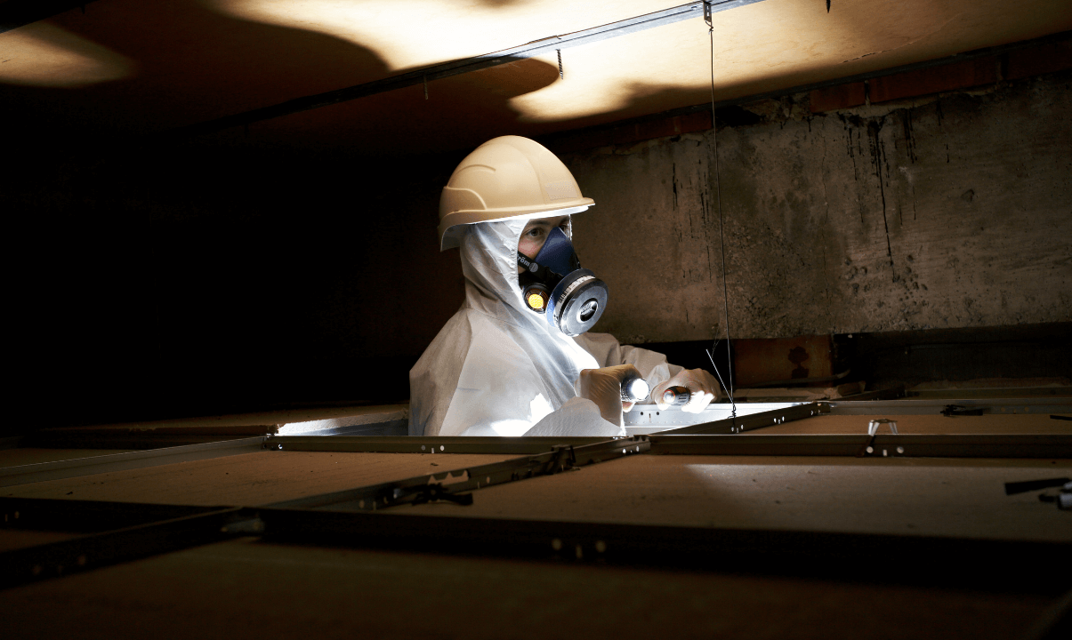 Image of asbestos surveyor in full PPE with white helmet, gloves, white suit, full face maske and white gloves looking into a dark loft through a hatch.